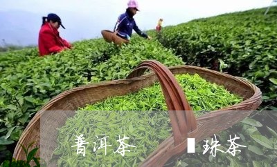 普洱茶  龍珠茶/2023041230692